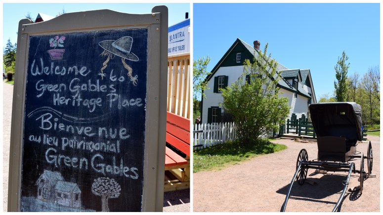 5 - PEI Anne & Ctown1